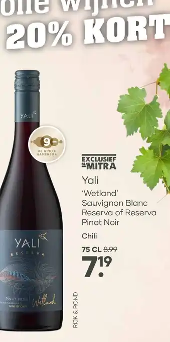 Yali 'Wetland' Reserva Pinot Noir | 75 CL