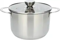 Dirk Alpina Rvs kookpan met deksel 4lt aanbieding