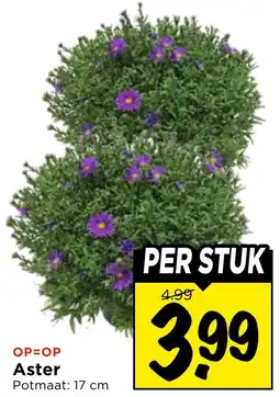 Vomar Voordeelmarkt Aster aanbieding