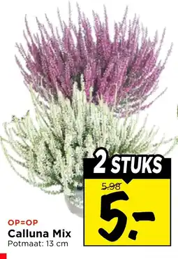 Vomar Voordeelmarkt Calluna Mix aanbieding