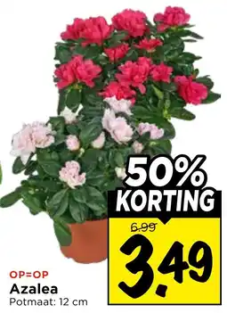 Vomar Voordeelmarkt Azalea aanbieding
