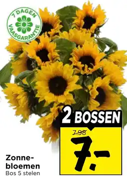 Vomar Voordeelmarkt Zonne-bloemen aanbieding