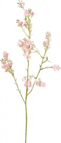 Dekamarkt DekaMarkt Zijden waxflower roze aanbieding