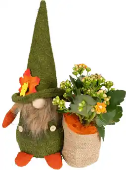 Dekamarkt Arrangement gnoom aanbieding