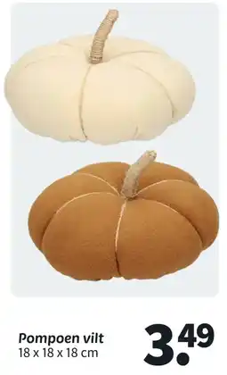 Wibra Pompoen vilt aanbieding