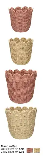 Wibra Mand rattan aanbieding
