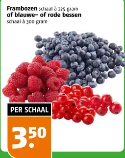 Poiesz Frambozen of blauwe- of rode bessen aanbieding