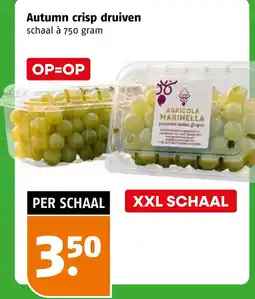 Poiesz Autumn crisp druiven aanbieding