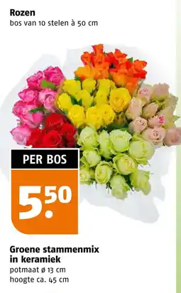 Poiesz Rozen aanbieding