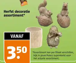 Poiesz Herfst decoratie assortiment* aanbieding