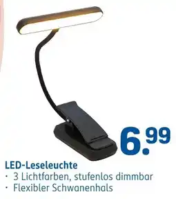 Rossmann DE LED-Leseleuchte aanbieding