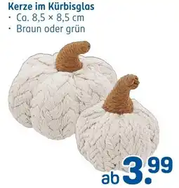 Rossmann DE Kerze im Kürbisglas aanbieding