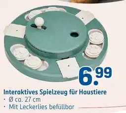 Rossmann DE Interaktives Spielzeug für Haustiere aanbieding