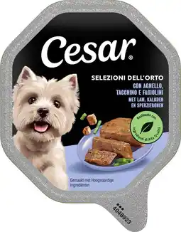 Intratuin Cesar natvoer hond lam, kalkoen en sperziebonen 150 g aanbieding