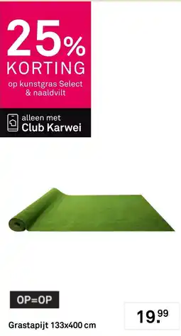 Karwei Club Karwei kunstgras Select & naaldvilt aanbieding