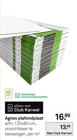 Karwei Agnes plafondplaat aanbieding