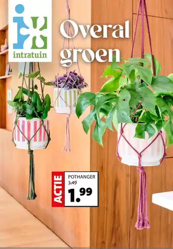 Intratuin pothanger