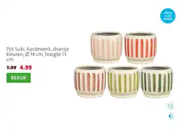 Intratuin Pot Suki aanbieding