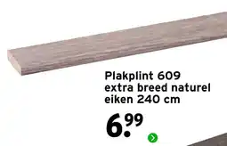 GAMMA Plakplint 609 aanbieding