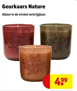 Kruidvat Geurkaars Nature aanbieding