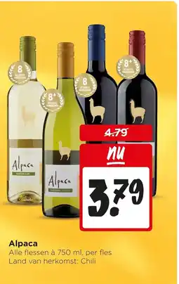 Jumbo Alpaca aanbieding