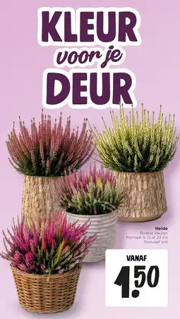 Jumbo Heide aanbieding