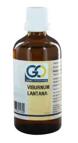 De Online Drogist GO Gemmo Oplossingen Viburnum Lantana Druppels 100ML aanbieding
