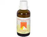 De Online Drogist Vita Producten Vita Systeem Regulator C 50ML aanbieding