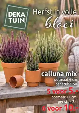 Deka Tuin Calluna Mix aanbieding