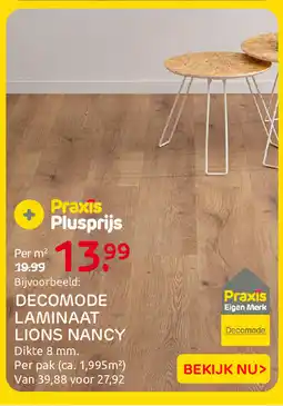 Praxis Decomode laminaat lions nancy aanbieding