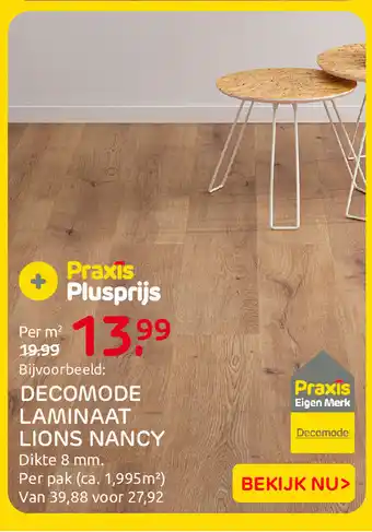 Praxis Decomode laminaat lions nancy aanbieding