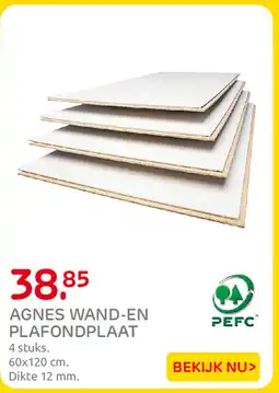Praxis Agnes wand-en plafondplaat aanbieding