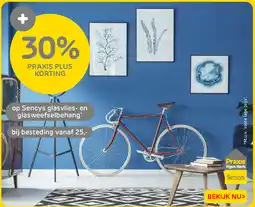 Praxis Praxis Sencys glasvlie- en glasweefselbehang aanbieding