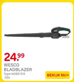 Praxis Wesco bladblazer aanbieding