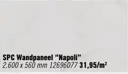 Hornbach SPC Wandpaneel Napoli aanbieding