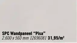 Hornbach SPC Wandpaneel Pisa aanbieding