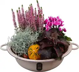 Intratuin Plantenarrangement najaar zinken schaal met pompoen D 29 H 28 cm aanbieding