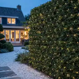 Action Kerstverlichting met flikkerlicht - netverlichting 4 x 2 meter aanbieding