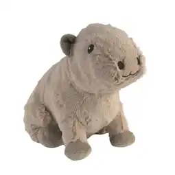 De Online Drogist Warmies Capybara 1ST aanbieding