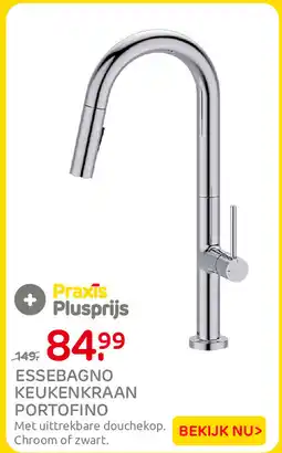 Praxis Essebagno keukenkraan portofino aanbieding