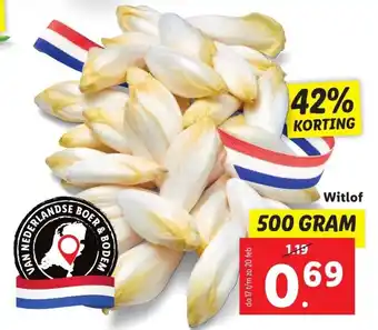 Lidl Witlof 500g aanbieding