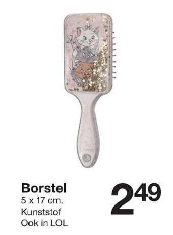 Zeeman Borstel aanbieding