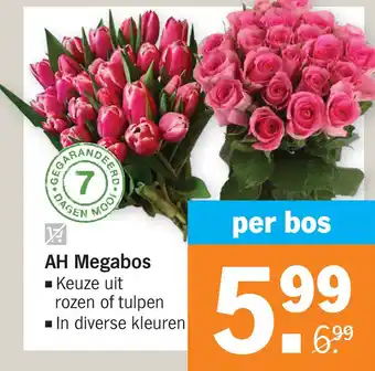 Albert Heijn AH Megabos aanbieding