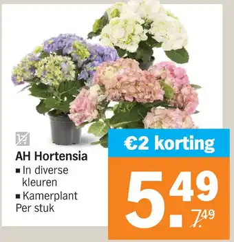 Albert Heijn AH Hortensia aanbieding