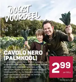 Ekoplaza cavolo nero (palmkool) aanbieding