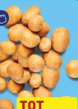 ALDI Potato aanbieding