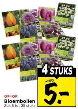 Vomar Voordeelmarkt Bloembollen aanbieding