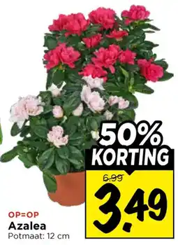 Vomar Voordeelmarkt Azalea aanbieding
