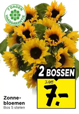 Vomar Voordeelmarkt Zonne-bloemen aanbieding