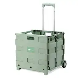 ANWB Packaway Boodschappenkrat 50L Groen aanbieding